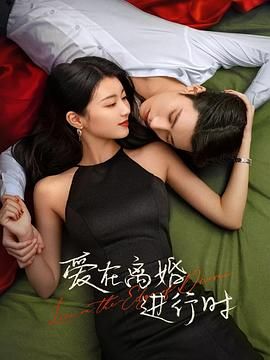 爱在离婚进行时第19集